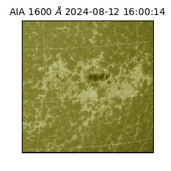 saia - 2024-08-12T16:00:14.125000
