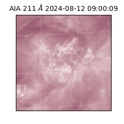 saia - 2024-08-12T09:00:09.630000