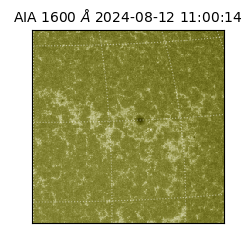 saia - 2024-08-12T11:00:14.126000