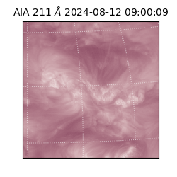 saia - 2024-08-12T09:00:09.630000