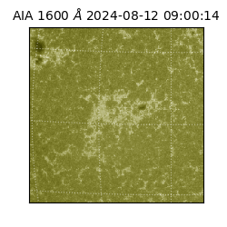 saia - 2024-08-12T09:00:14.129000