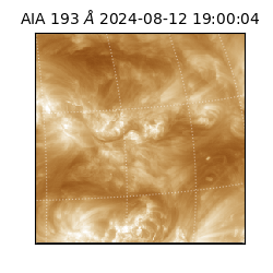 saia - 2024-08-12T19:00:04.843000