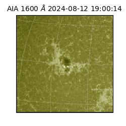 saia - 2024-08-12T19:00:14.125000