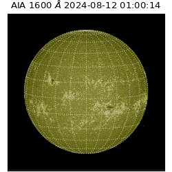 saia - 2024-08-12T01:00:14.131000