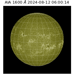 saia - 2024-08-12T06:00:14.126000