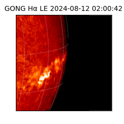 gong - 2024-08-12T02:00:42