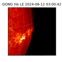 gong - 2024-08-12T03:00:42