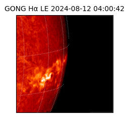 gong - 2024-08-12T04:00:42