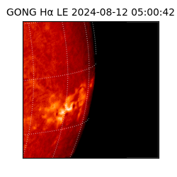 gong - 2024-08-12T05:00:42