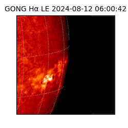 gong - 2024-08-12T06:00:42