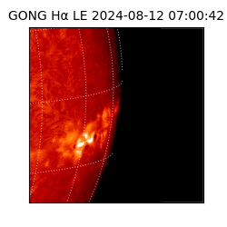 gong - 2024-08-12T07:00:42