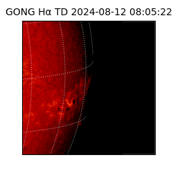 gong - 2024-08-12T08:05:22