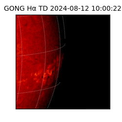 gong - 2024-08-12T10:00:22