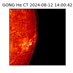gong - 2024-08-12T14:00:42