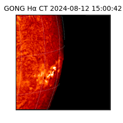 gong - 2024-08-12T15:00:42