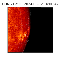 gong - 2024-08-12T16:00:42