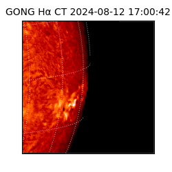 gong - 2024-08-12T17:00:42