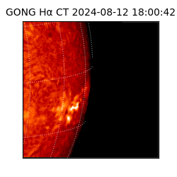 gong - 2024-08-12T18:00:42