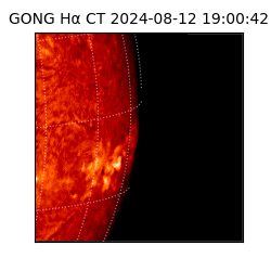 gong - 2024-08-12T19:00:42