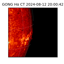 gong - 2024-08-12T20:00:42