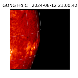 gong - 2024-08-12T21:00:42