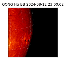 gong - 2024-08-12T23:00:02