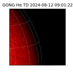 gong - 2024-08-12T09:01:22