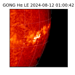 gong - 2024-08-12T01:00:42