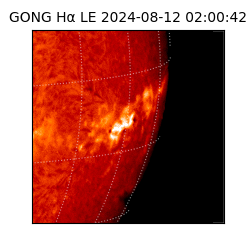 gong - 2024-08-12T02:00:42