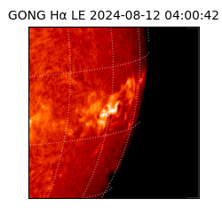 gong - 2024-08-12T04:00:42