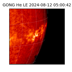 gong - 2024-08-12T05:00:42