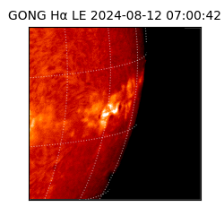 gong - 2024-08-12T07:00:42