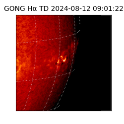 gong - 2024-08-12T09:01:22
