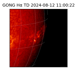 gong - 2024-08-12T11:00:22