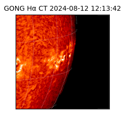 gong - 2024-08-12T12:13:42