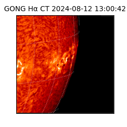 gong - 2024-08-12T13:00:42