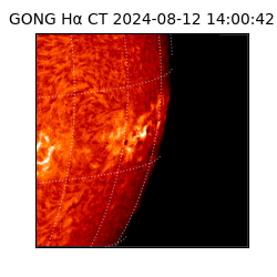 gong - 2024-08-12T14:00:42