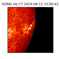 gong - 2024-08-12T15:00:42