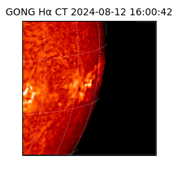 gong - 2024-08-12T16:00:42