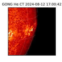 gong - 2024-08-12T17:00:42