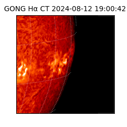 gong - 2024-08-12T19:00:42