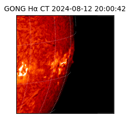 gong - 2024-08-12T20:00:42
