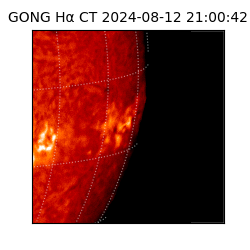 gong - 2024-08-12T21:00:42