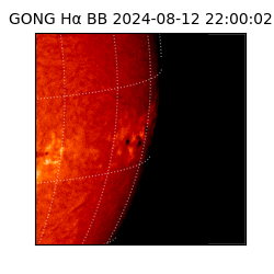 gong - 2024-08-12T22:00:02