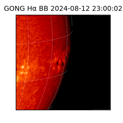gong - 2024-08-12T23:00:02