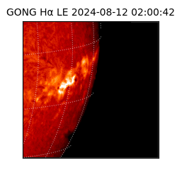 gong - 2024-08-12T02:00:42