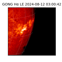 gong - 2024-08-12T03:00:42
