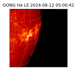 gong - 2024-08-12T05:00:42