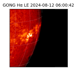 gong - 2024-08-12T06:00:42