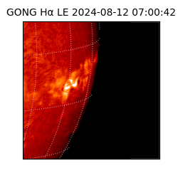 gong - 2024-08-12T07:00:42